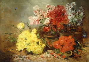 ヒナギク、ベゴニア、その他の鉢花