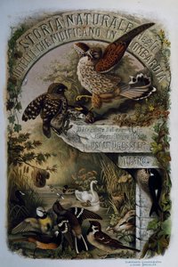 エウジェニオ・ベットーニ（1845-1898）著『ロンバルディアに営巣する鳥類の自然史』のタイトルページ、オスカー・ドレスラーの彫刻、イタリア 作： Eugenio Bettoni, Oscar Dressler