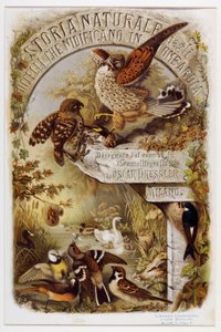 ロンバルディア州に営巣する鳥類の博物誌（クロモリトグラフ）」の扉絵