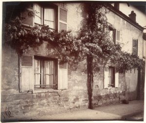 グリシン（藤）、Ch?tillon 作： Eugène Atget