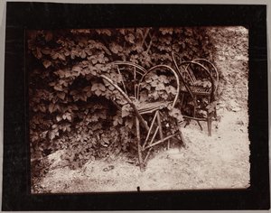 ホップ 作： Eugène Atget