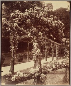 [バガテル庭園］ 作： Eugène Atget