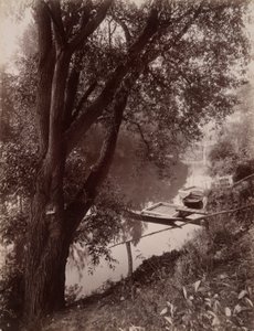 マルヌ？ ラ ヴァレンヌ (ラ ヴァレンヌのマルヌ) 作： Eugène Atget