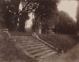 ソー公園 作： Eugène Atget