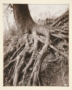 サンクラウド 作： Eugène Atget
