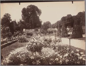 サン＝クルー 作： Eugène Atget