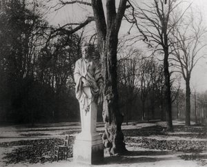 像、チュイルリー庭園、パリ 作： Eugène Atget