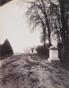 ヴェルサイユ、トロワ・フォンテーヌ通り、1906年頃（塩化金酸プリント 作： Eugène Atget