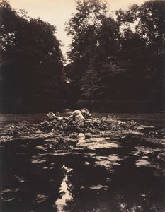 ベルサイユ、エンケラドゥスの噴水 作： Eugène Atget