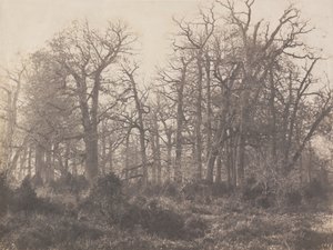 とげの交差点 作： Eugène Cuvelier
