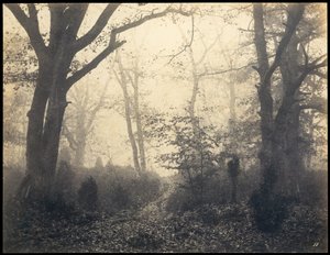 フォンテーヌブロー。バルビゾンの森、1860年頃。 作： Eugène Cuvelier