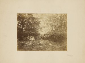 [景観調査］ 作： Eugène Cuvelier
