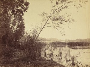 ファンプーの湿地 作： Eugène Cuvelier