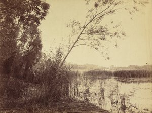 マレ ド ファンプー、1860 年代初頭。 作： Eugène Cuvelier