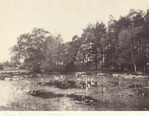 ピアットの沼地 (ベル クロワ高原) 作： Eugène Cuvelier