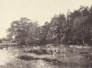 Piat Belle-Croix高原の湿地、c。 1863年。 作： Eugène Cuvelier