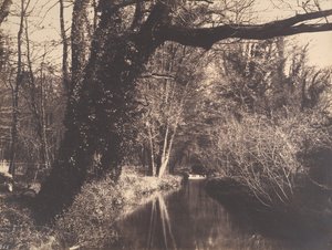 クーランス公園、1860-70。 作： Eugène Cuvelier