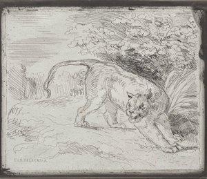 閉じ込められたトラ 作： Eugène Delacroix