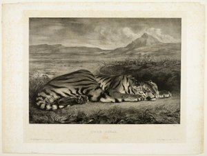 ベンガルトラ 作： Eugène Delacroix