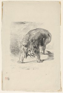 立っているライオン, 1833., 1833. 作： Eugène Delacroix