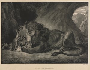 アトラス山脈のライオン 作： Eugène Delacroix