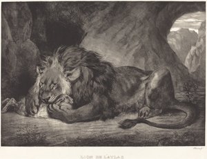 アトラス山脈のライオン Lion de l