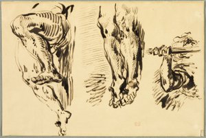 十字架につけられたキリストの腕と脚の研究 作： Eugène Delacroix