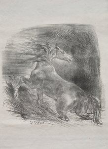 野生の馬、または水を離れるおびえた馬 作： Eugène Delacroix