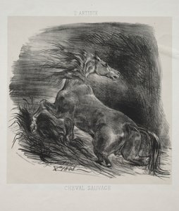 野生の馬、または水を離れるおびえた馬 作： Eugène Delacroix