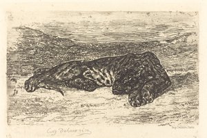 砂漠で眠るトラ 作： Eugène Delacroix