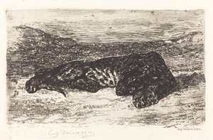 砂漠で眠る虎、c。 1830年。 作： Eugène Delacroix