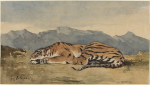 タイガー、c。 1830年。