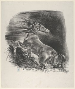 野生の馬, 1828., 1828. 作： Eugène Delacroix