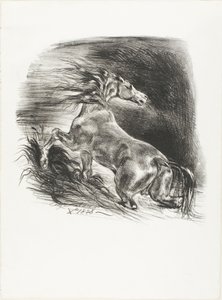 野生の馬、または水を離れるおびえた馬 作： Eugène Delacroix