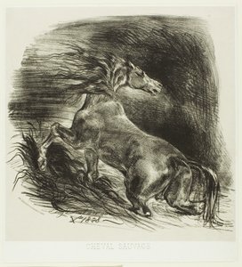 水を離れる野生の馬またはおびえた馬 作： Eugène Delacroix