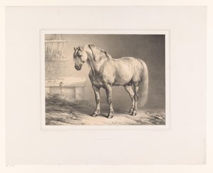 厩舎の馬 いろいろな動物（シリーズタイトル） Etudes d