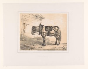 鞍とホルター付きの馬 いろいろな動物（シリーズタイトル） Etudes d