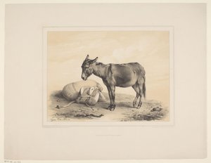 ルステンデ・パケゼル 多様なディレン（シリーズタイトル） 動物研究（シリーズタイトル） 作： Eugène Verboeckhoven