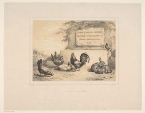 ニワトリ、ウサギ、ハトのタイトルプリント いろいろな動物（シリーズタイトル） Etudes d