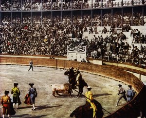 スペインの闘牛の様子（写真