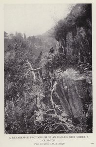 崖の下にある鷲の巣を撮影した写真（白黒写真 作： European Photographer