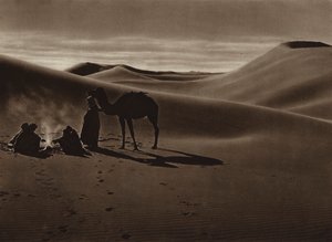 砂漠の夕べ（モノクロ写真） 作： European Photographer