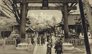 日本、東京の街並み、桜の時期（モノクロ写真 作： European Photographer