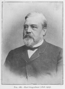 カール・ゲゲンバウアー（1626-1903）、ポートレート（モノクロ写真 作： European Photographer