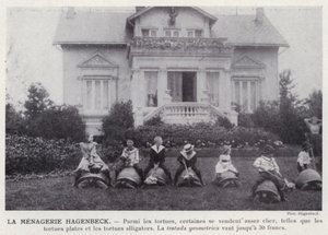 La Menagerie Hagenbeck（モノクロ写真 作： European Photographer