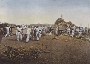 作業員、ヌメア