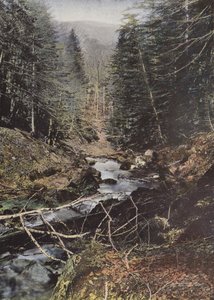 ルション、パイクの高い谷 作： European Photographer