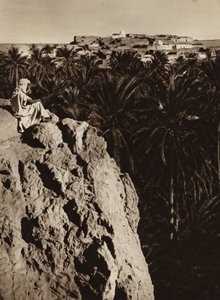 ネフタ・オアシス（モノクロ写真） 作： European Photographer