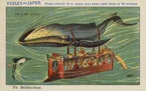 2000年のクジラバス