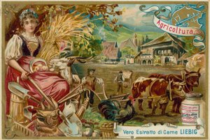 農業 作： European School